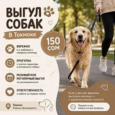 🐾 Выгул собак | Токмок Если вы заняты, на работе или просто не