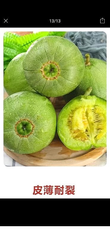 aloe vera: Семена Медовой китайской дыни (ароматная круглая дыня диаметром до 12 — 8