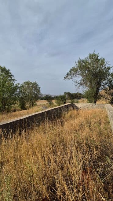 гостевые дома на иссык куле: 5 соток, Для строительства, Красная книга — 3