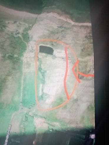 съем квартиры: 10 соток, Для бизнеса, Красная книга — 1