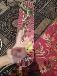 Оюнчуктар: Детский набор для активных прогулок: велосипед, самокат и скейтборд — 1