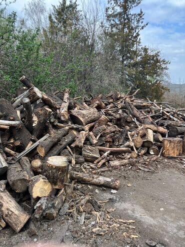 агроволокно рулон цена бишкек: Отун Карагач, Өзү алып кетүү — 1