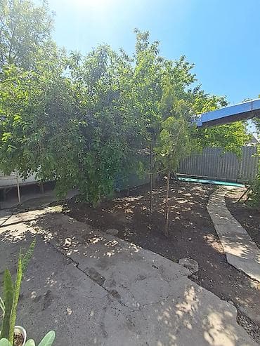 дом в бишкеке: Продаю дом! Район ТЭЦ Все коммуникации (газ, центральная канализация) — 3