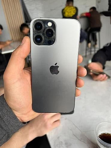 IPhone 13 Pro Max, Графит