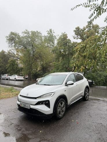 Электромобиль кроссовер (белый цвет, 5 дверей) - Тип: полностью