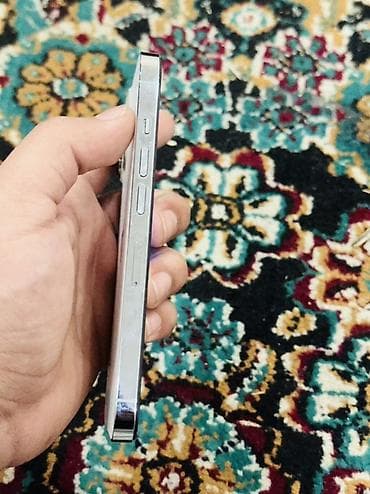 hp 2710p: IPhone 13 Pro, Серебристый, Кабель — 2