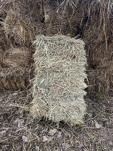 Зоотовары: Сено в тюках (прессованные прямоугольные блоки). - Тип: луговое сено — 2