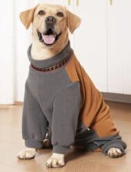 купить рабочую охотничью собаку: Комбинезон флисовый для собак. Одевали несколько раз. (Не подошел — 5