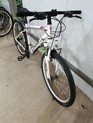 покрышка 12 дюймов: Горный велосипед, Alton, Рама M (156 - 178 см), Алюминий, Б/у — 3