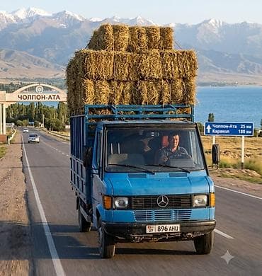 даево матиз 1: Жүк ташуучу унаа, Mercedes-Benz, Стандарт, 3 т, Колдонулган — 6