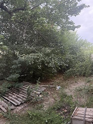 чон арвк: Продаю дом с Маевка (считается городом)Район не подлежит реконструкции — 3
