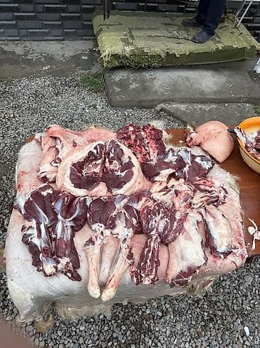 работа пицца: КАСАПЧЫ🐑🔪, сойуу,жиликтоо, куйкало,чучук жасо эт бышыруу — 2