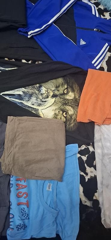 leopard 5: - Спортивный костюм Adidas: ветровка и штаны. - Несколько футболок с — 3
