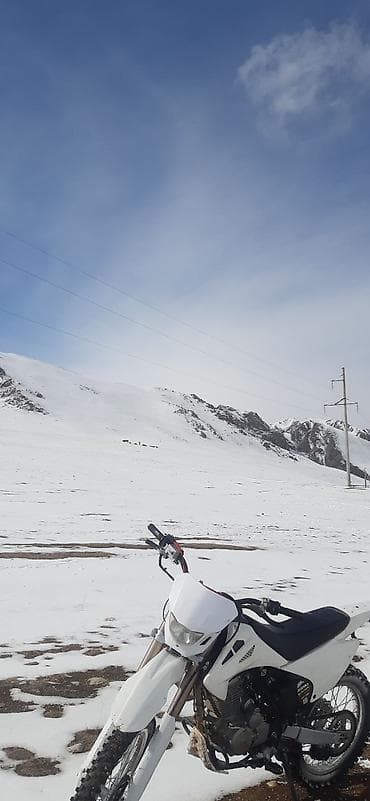акрапович выхлоп: Эндуро 250 куб. см, Бензин, Взрослый, Б/у — 6