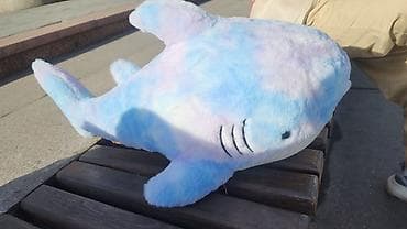 Коляски: 1200 — 2