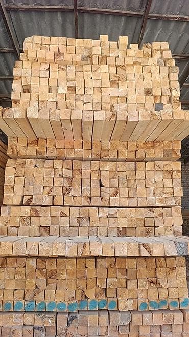 clean box: Хвоя — 6