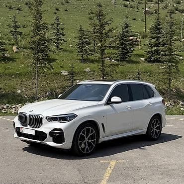 kawasaki ninja 250: BMW X5: 2023 г., 3 л, Автомат, Бензин, Кроссовер — 1