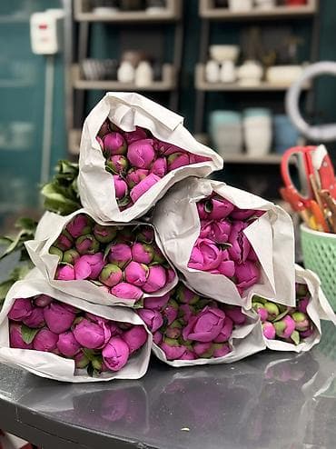 бутон: ПИОНЫ ОПТОМ Свежие бутоны Цена договорная Цвета: розовый, белый — 2