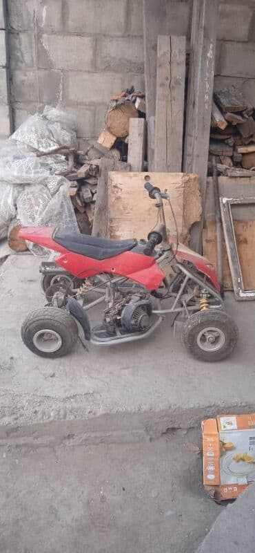 Детский/подростковый мини-квадроцикл (карманный квадроцикл) -