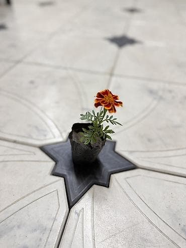 Платная доставка, Самовывоз — 2