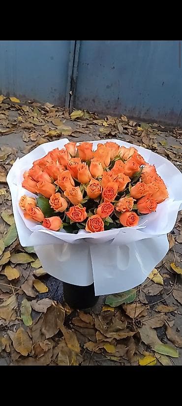 букетик: Акция 51 роза 1900‼️Дешево Розы букеты оптом и в розницу 24/7 доставка — 7