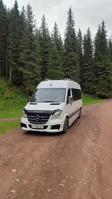 обувь женская большие размеры: Пассажирский микроавтобус Mercedes-Benz Sprinter — комфортный — 4