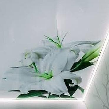 hidden camera: Натяжной потолок Глянцевое, Матовое, 3D потолки Гарантия, Бесплатная консультация, Бесплатный замер — 2