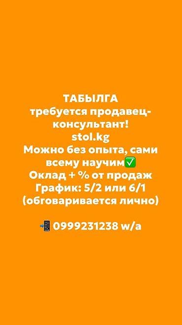 работа хово: Вакансия: продавец‑консультант (ТАБЫЛГА, stol.kg) - Рассматриваются — 1