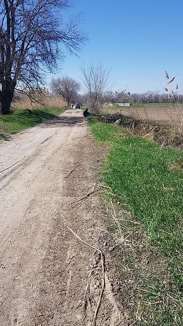 участки продаю: 100 соток, Для сельского хозяйства — 2