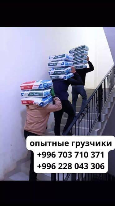 работа для художника: Грузчик. 3-5 лет опыта — 1