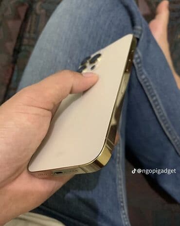 Proton: IPhone 13 Pro, Б/у, 128 ГБ, Золотой, Зарядное устройство, Защитное стекло, Чехол, 100 % — 2