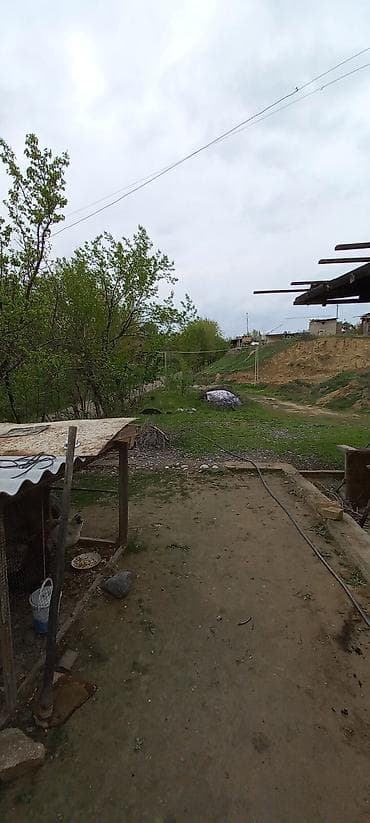 nice house: Дом с большим навесным крыльцом и участком - Одноэтажный дом с белым — 5