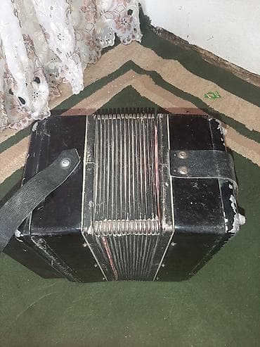 гитаа: Баян кнопочный, классическая двухрядная модель с правой и левой — 2