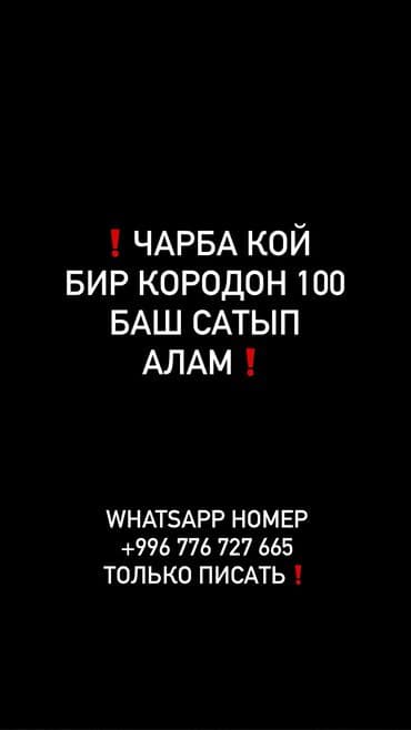 тюк пресс: Куплю | Бараны, овцы — 1