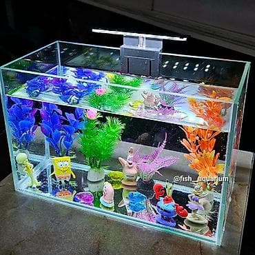 Вариант бюджетного аквариума🐬 Подойдёт на подарок 🎁 в комплект входит