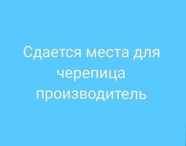 открытый бассейн: Сдается место под черепицу 3сотых - Предложение предназначено для — 1