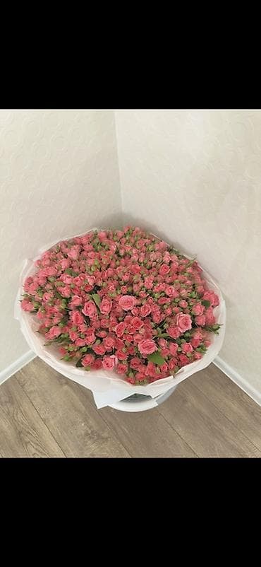 софлор: София, Оптом!!!
Пачками, пачка 2000 сом, в пачке 30+головок!!! — 6