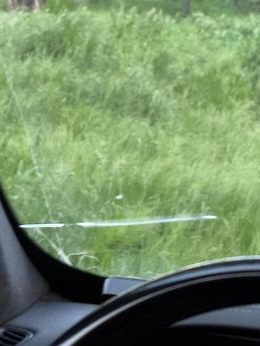 Стекло Лобовое BMW