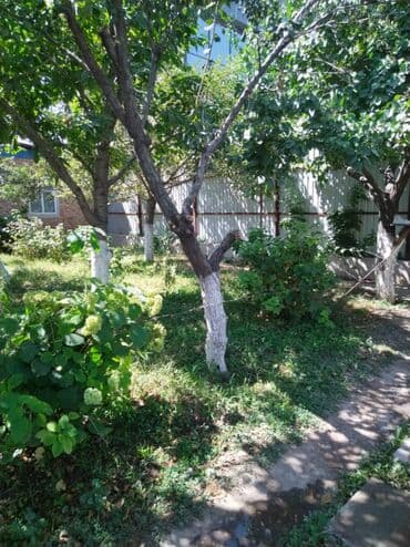 дом разборный: Квартира берилет!!! 🏡 БЕЗ ХОЗЯИНА! Короо тозулган, соонун огород — 8