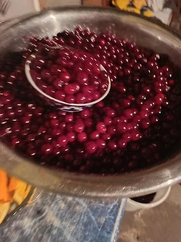 купить бутылки стеклянные: Домашний морс/лимонад из натуральных ингредиентов Описание: - Напиток — 5