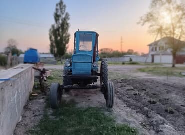 тракторы беларусь мтз82: Трактор, трактр. т 28. Культеватор, культуватр. Лезвия, бороз — 1