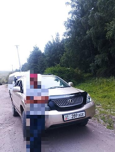Lexus: Lexus RX: 2005 г., 4 л, Автомат, Газ, Кроссовер — 3