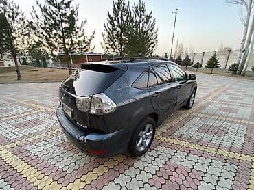 fj cruser: Lexus RX: 2004 г., 3.3 л, Автомат, Бензин, Кроссовер — 3