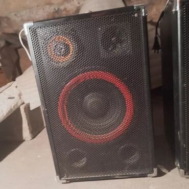 студийное оборудование: Акустическая система с черным корпусом и металлической сеткой — 1