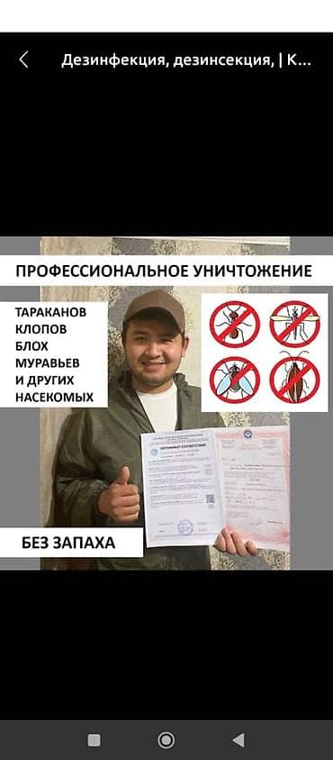 обувь женская 40: Дезинфекция, дезинсекция, | Муравьи, | Квартиры — 4