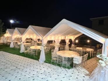 как заказать белого медведя на день рождения: Выездные банкеты | Оформители | Аренда столов, Аренда стульев — 14