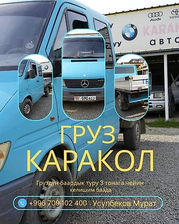 new yourk: Грузоперевозки по Караколу - Перевозка грузов всех типов до 3 тонн - — 1