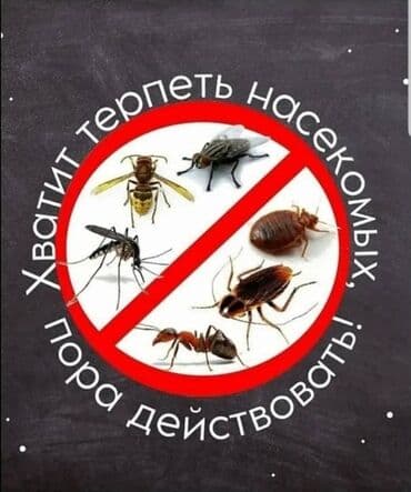 дезинфекция дома от клопов ош: Дезинфекция, дезинсекция, | Клопы, Блохи, Тараканы, | Транспорт, Офисы, Квартиры — 2