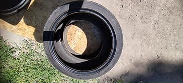 Шины 245 / 40 / R 19, Лето, Б/у, 1 шт, Япония, DUNLOP — 3