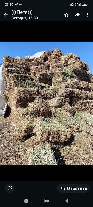 клетки для кроликав: Продаю беде, люцерна. Укос первый -350сом за тюк. Укос второй, третий — 2